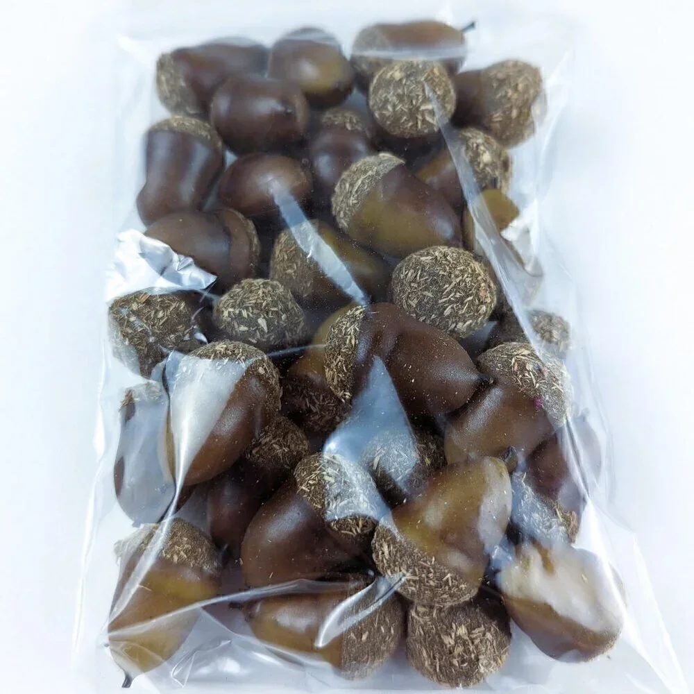 Faux Acorns for Crafting